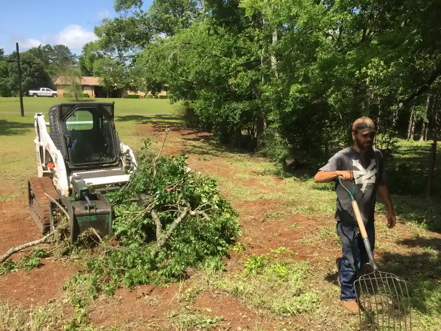 Stump Grinding